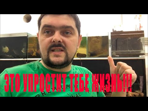 Видео: Обитатели, которые должны быть в КАЖДОМ аквариуме!