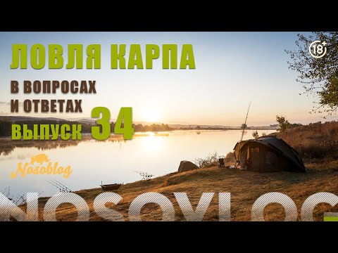 Видео: Карпфишинг в вопросах и ответах №34, Колесников А.