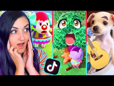 Видео: Мемы Animal Crossing TikTok, которые действительно смешные 2