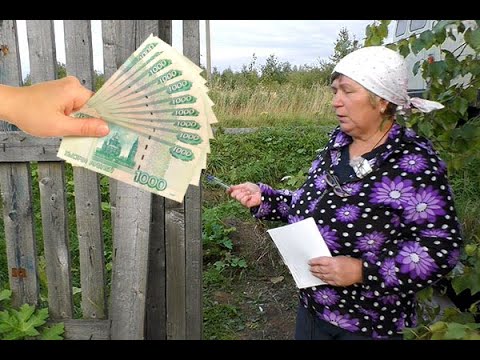 Видео: Как в деревне заработать 600000 рублей, сколько зарабатываю в месяц