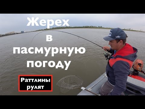 Видео: Жерех в пасмурную погоду. Раттлины рулят. Nissin Ares Lester Boron 800ML