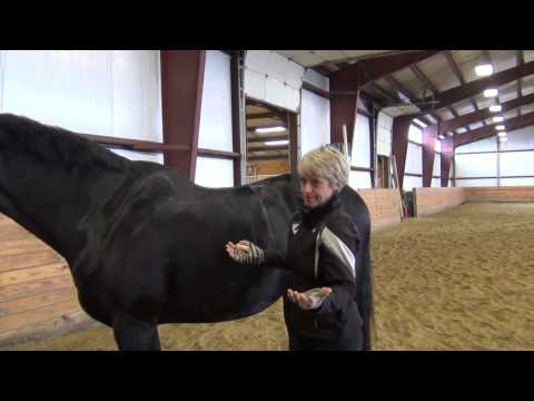 Видео: Правильная посадка седла