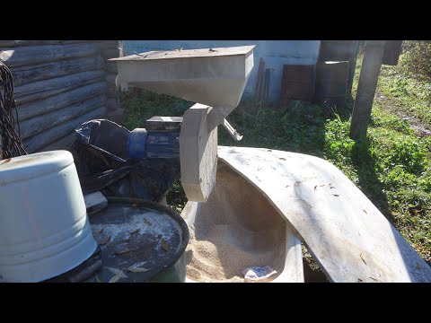 Видео: Зернодробилка для бычков.