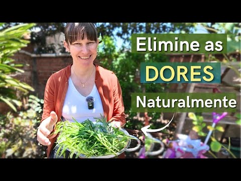 Видео: ЭТО РАСТЕНИЕ ЛЕЧИТ ВАШИ БОЛИ 🌱