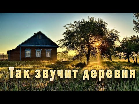 Видео: Звуки деревенской жизни - Деревня просыпается и очень красиво "звучит"