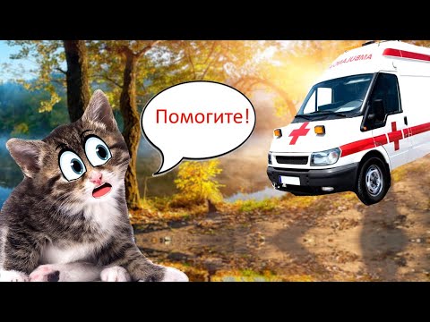 Видео: КОТЁНОК получил травму на ОЗЕРЕ! Срочно к ВРАЧУ!!!