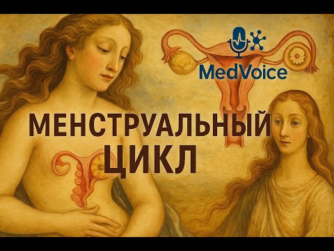 Видео: Менструальный цикл, овуляция и гормоны (учебник акушерства Савельева)
