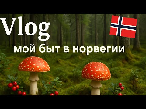 Видео: 16.07 Богатство норвежского леса 🌳
