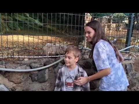 Видео: АНТАЛЬЯ. КЕМЕР. ТЕКИРОВО. ВИДЕО ОТ ДОЧЕРИ.ОБЗОР ОТЕЛЯ NİRVANA DOLCE VİTA 5*