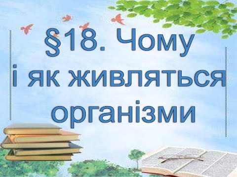 Видео: §18📚 АВДІОПІДРУЧНИК. Пізнаємо природу. 6 кл. Д.Біда. Чому і як живляться організми
