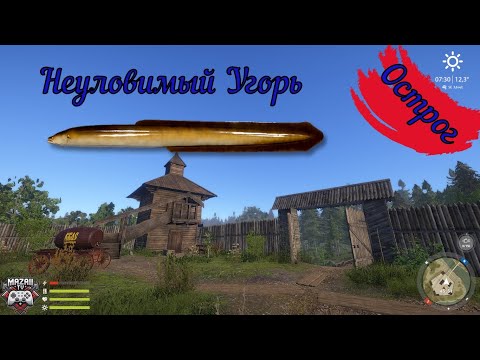 Видео: Старый Острог . Угорь 10 часов ожидания . Русская рыбалка 4 . Russian Fish 4 . Фарм РР4 . Где клёв ?
