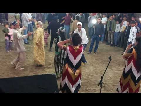 Видео: Гр Кабутарон бо овози зинда туйя обод мекунанд.93 101 13 85.