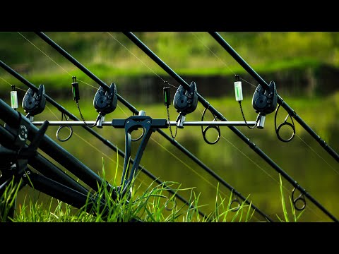 Видео: НА ЭТУ НАСАДКУ КЛЮЮТ РЕЧНЫЕ МОНСТРЫ. РЫБАЛКА НА КАРПА, САЗАНА , АМУРА 2023 . Дубовый хуторок