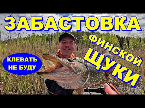 Видео: Бастуют все: Finnair - в небе, щука - в воде. Один я на рыбалке…