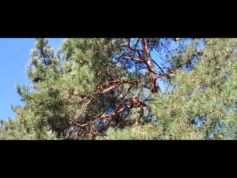 Видео: Почему я не беру деньги в долг? Немного о финансовой грамотности