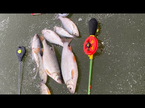 Видео: УЖАСНЫЙ И ОПАСНЫЙ ПЕРВЫЙ ПОСЛЕДНИЙ ЛЕД! первый лед 2025 2026