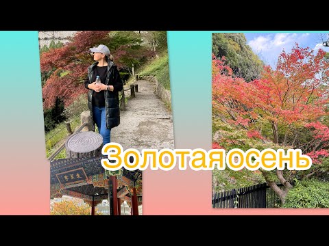 Видео: Спонтанная прогулка в горы ⛰️ 