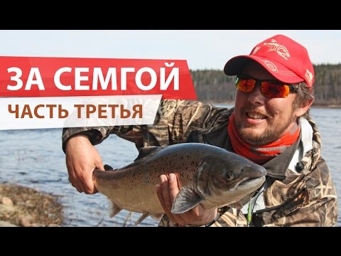 Видео: Ловля семги на КОЛЬСКОМ полуострове. День третий