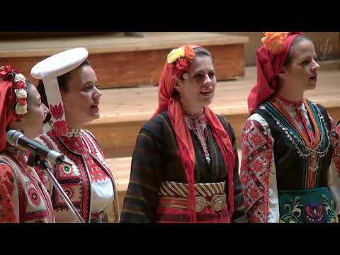 Видео: Dragostin Folk National - A White Falcon/ Бяла Сокола | ブルガリア音楽 |  保加利亚音乐 |