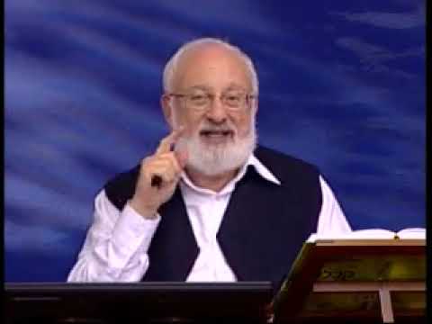 Видео: восприятие реальности