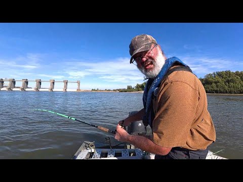 Видео: Холодная вода, тёплый сом. Где искать