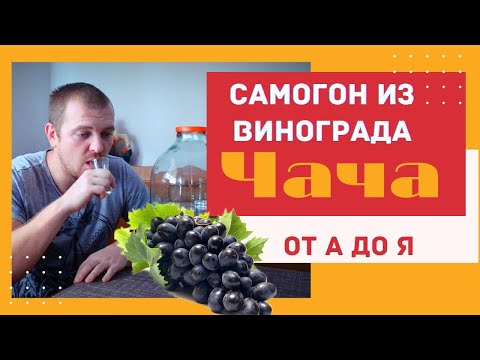 Видео: Делаю Ароматный Самогон из винограда (ЧАЧА) от А до Я.+ секретный ингредиент