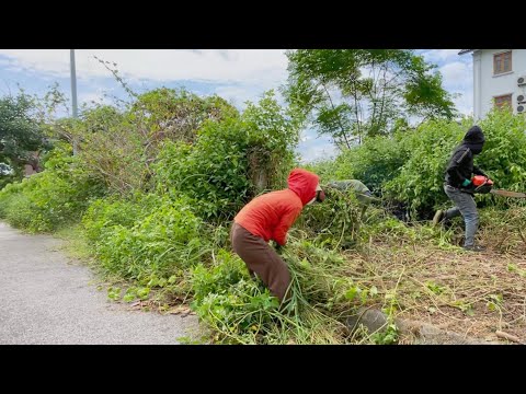 Видео: Площадка для пожилых захвачена сорняками — шокирующая уборка!