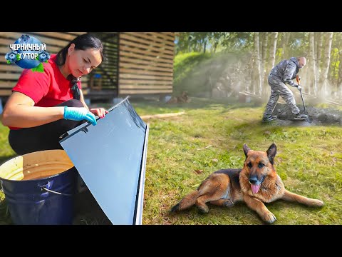 Видео: Семья живёт на лесном хуторе. Настоящие утиные приключения. Иногда всё идёт не по плану.