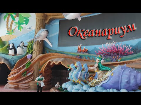 Видео: Бэйдайхэ 2024 # 7   Океанариум