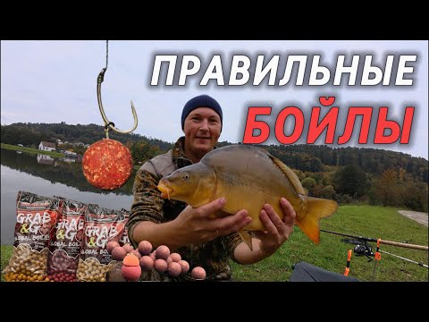 Видео: на какие бойлы ловить карпа осенью
