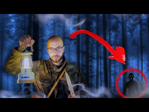 Видео: Отправился в Тёмный лес в поисках сказочного дерева. Без проишествий не обошлось.