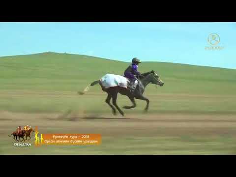 Видео: 2018 оны Ирээдүйн хурд Орхон аймгийн бүсийн уралдаан