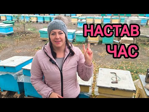 Видео: Формування гнізд в зиму, наш формат. Види формування гнізд в зиму. Види заставних дошок. Лайк бі