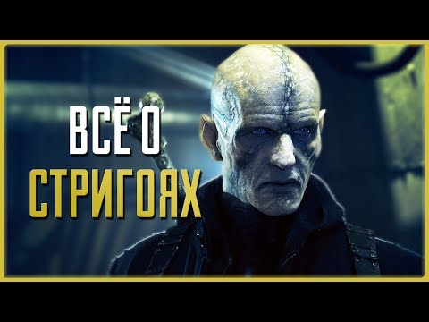 Видео: Всё о стригоях | Штамм