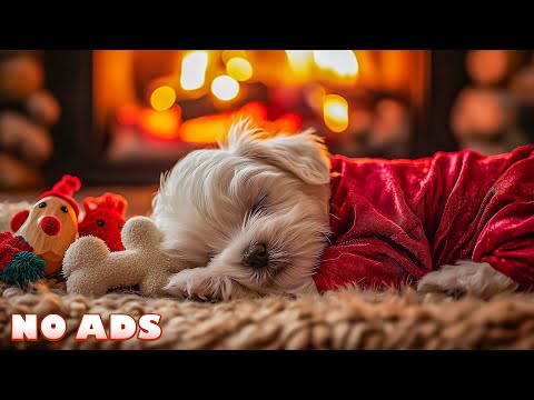 Видео: 12 Часов Успокаивающая Музыка для Собак От Стресса🐕‍🦺От Разлуки Собак🐶Музыка для Собак