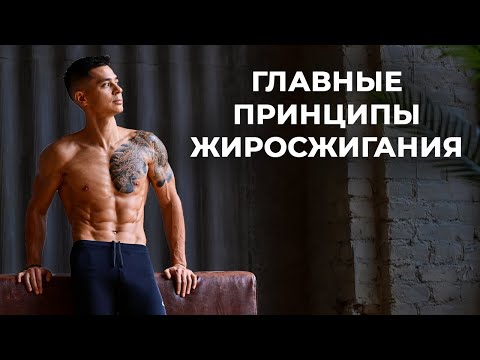 Видео: КАК УБРАТЬ ЖИВОТ И ПОХУДЕТЬ? Главные принципы жиросжигания!
