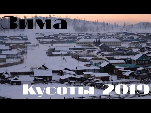 Видео: Тоонто минии Хүсөөтэ