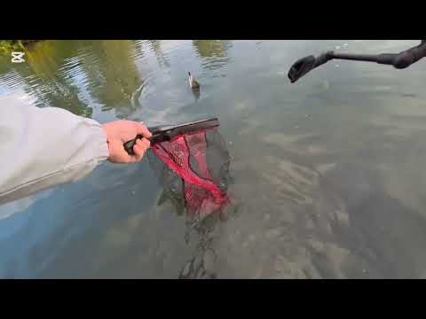 Видео:  Извадих четири различни хищника, от Марица Пловдив 