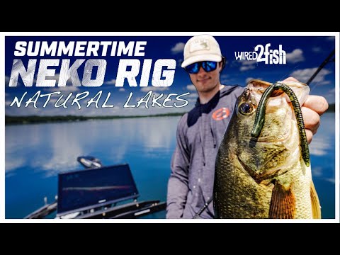 Видео: Секреты оснастки Neko от Fothergill для летней ловли окуня