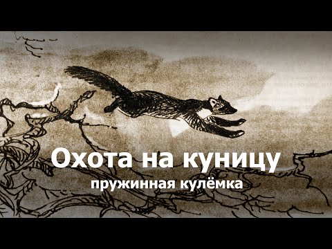 Видео: Охота на куницу