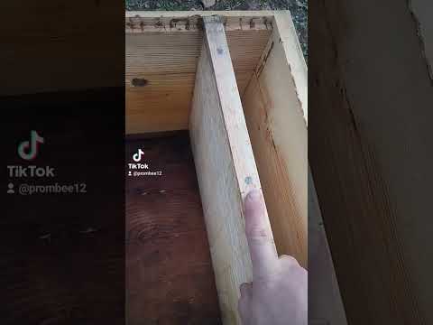 Видео: заставні дошки в вулики ппс і скоч один із найкращих варіантів