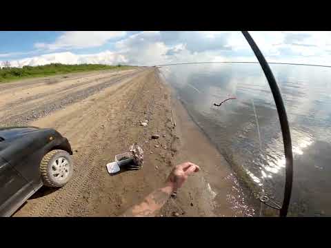 Видео: Рыбалка на Енисее в жару.