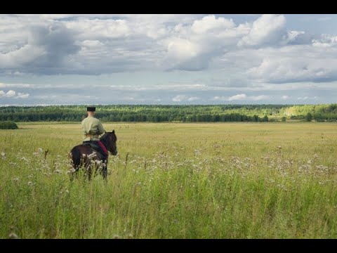 Видео: Казачья песня "Там в степи широкой". Новая - 2021