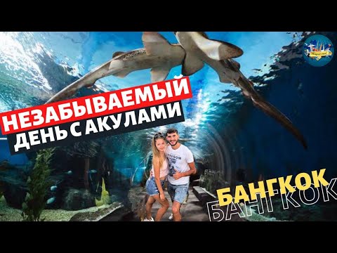 Видео: Океанариум Бангкок Siam  Ocean World.Самый большой в Азии.Пингвины.Акулы. Лайфхак по цене !!!