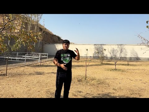 Видео: Чек сатылат г.Ош 1 адыр #недвижимость #квартира #домпродажа #чек #карасуу #ош #реклама #обзор 