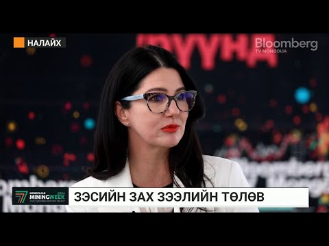 Видео: Д.Лингенфэлдер: Оюу Толгойн зэсийн гарц ирэх 4-8 жилд дээд цэгтээ хүрэх төлөвтэй