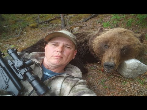 Видео: Охота на медведя в восточной сибири 2024
