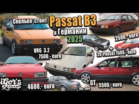 Видео: Passat B3 / хоботковый медведь вот так ещё его называют в Германии #пассат #пассатб3