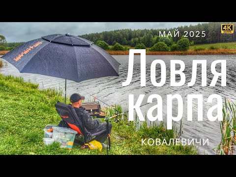 Видео: Ловля карпа на фидер на платнике Ковалевичи