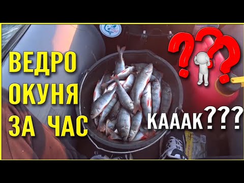 Видео: ОКУНЬ НА СПИННИНГ. СУПЕР УЛОВИСТАЯ СНАСТЬ.